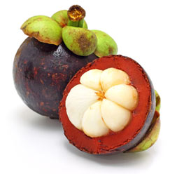 Garcinia Cambogia